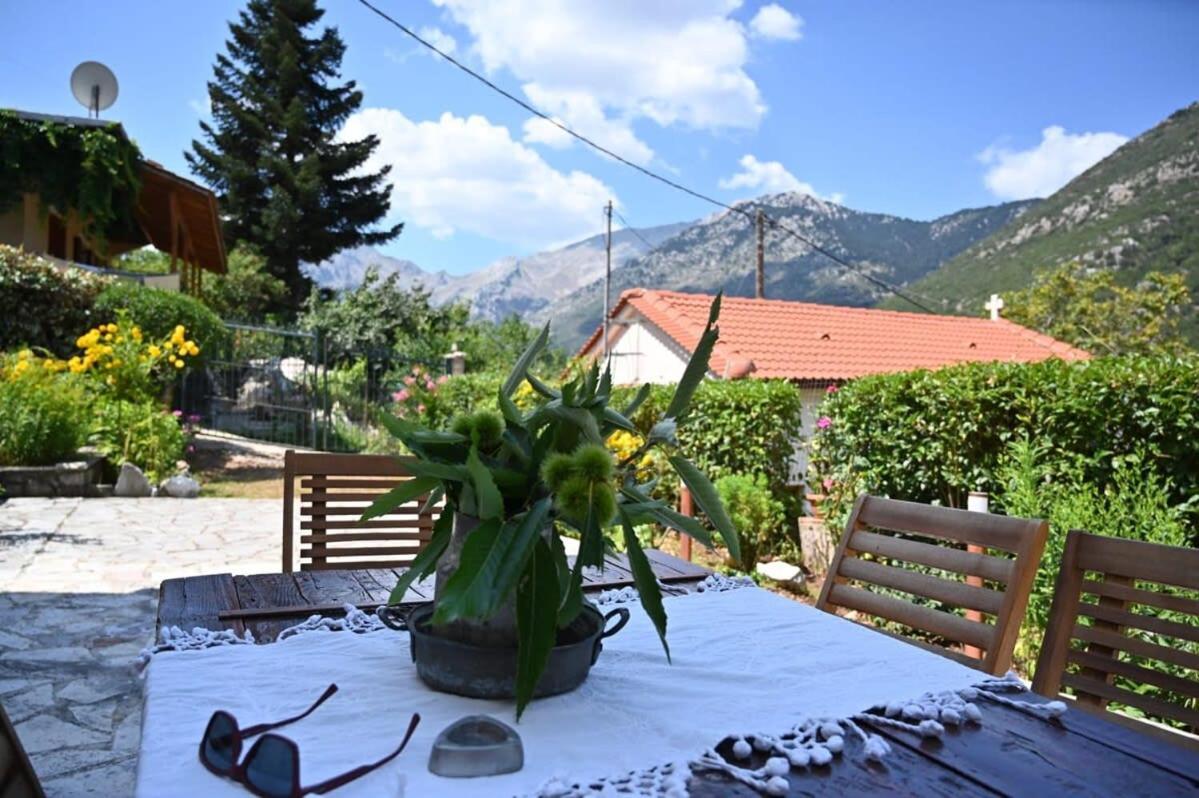 Kalavrita Winter Retreat - Homely Spacious Chalet Áno Vlasía Εξωτερικό φωτογραφία
