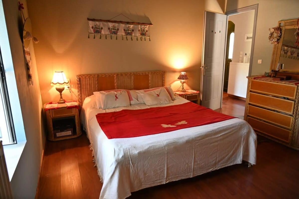Kalavrita Winter Retreat - Homely Spacious Chalet Áno Vlasía Εξωτερικό φωτογραφία